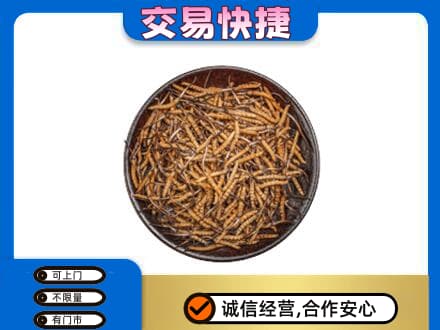 汉中市汉台回收散虫草